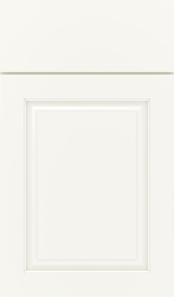Plaza Maple Raised Panel Cabinet Door in White