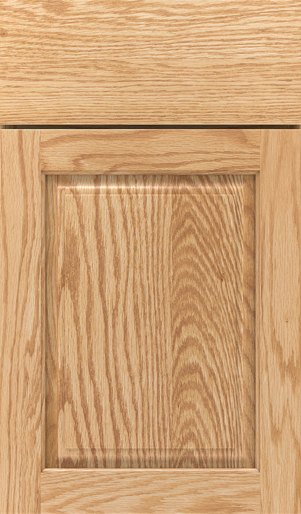 Plaza Oak raised panel cabinet door in Natural