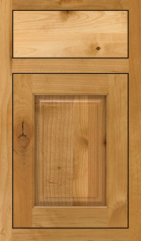 Plaza Rustic Alder Inset Cabinet Door in Natural