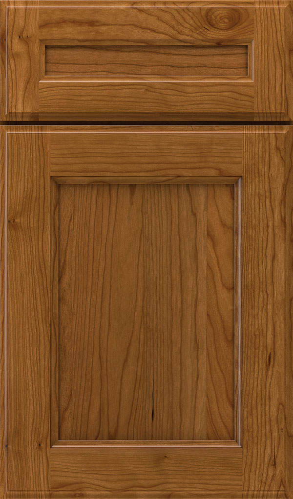 tala_5pc_cherry_recessed_panel_cabinet_door_suede