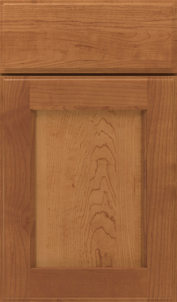 Treyburn Maple recessed panel cabinet door in Suede