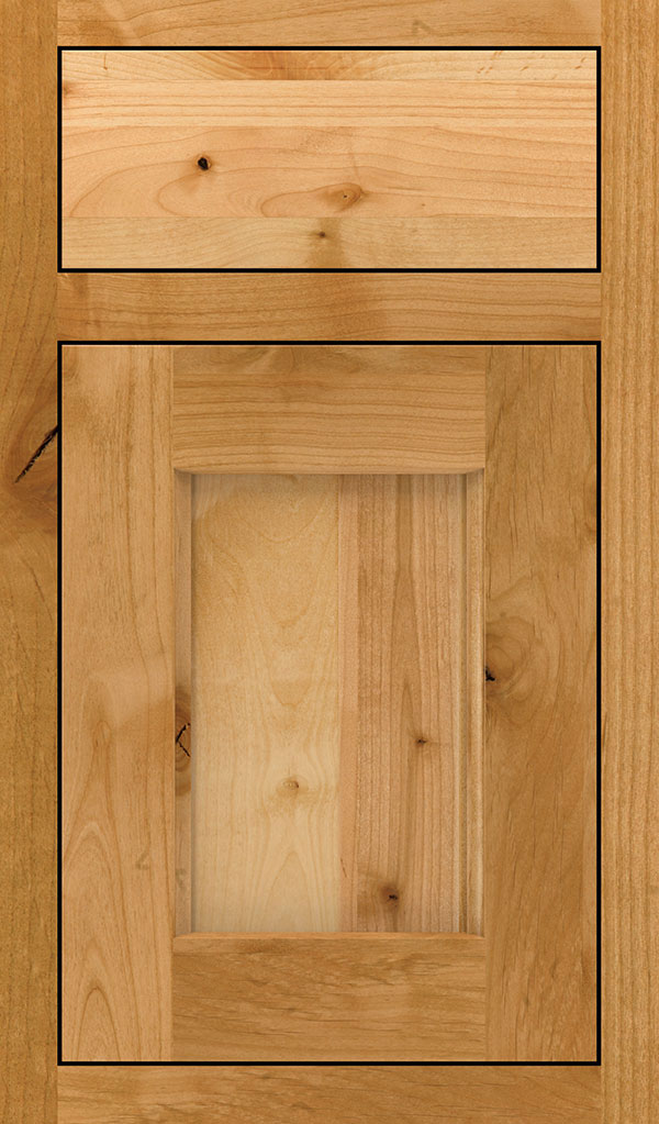 Treyburn Rustic Alder Inset Cabinet Door in Natural