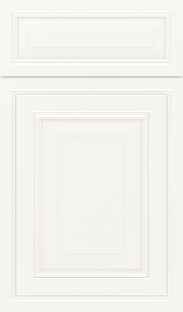 willshire_5pc_maple_raised_panel_cabinet_door_white