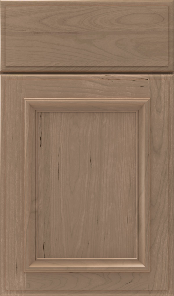 yardley_cherry_raised_panel_cabinet_door_fog