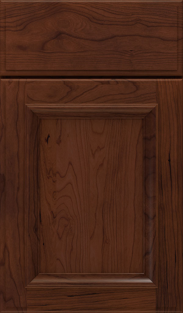 Yardley Cherry Raised Panel Cabinet Door in Sepia