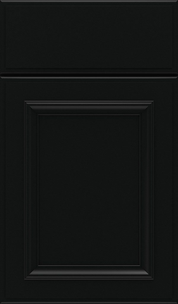 Yardley Maple Raised Panel Cabinet Door in Jet