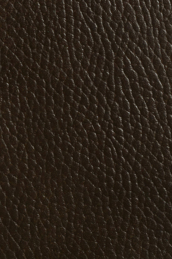 ODEleInsertAntBrownWalrusD