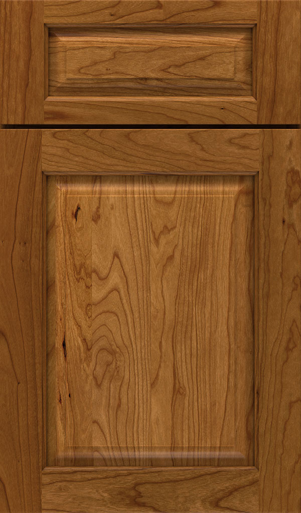 plaza_5pc_cherry_raised_panel_cabinet_door_suede