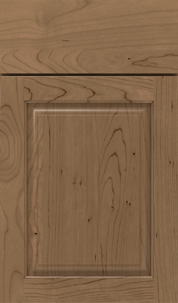 plaza_cherry_raised_panel_cabinet_door_gunny