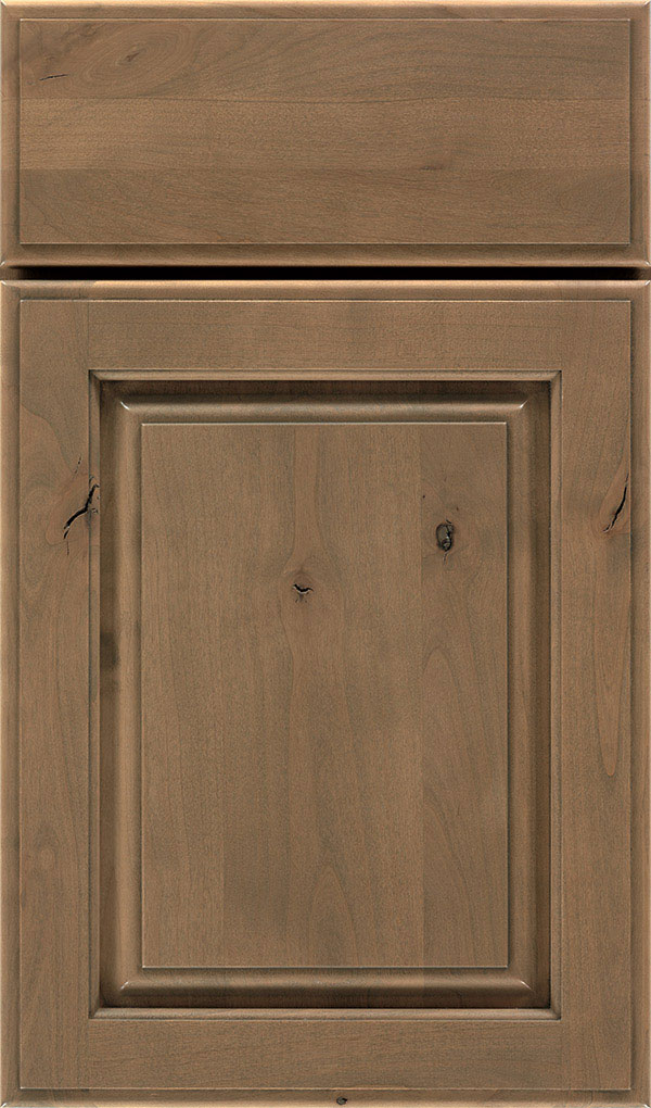 Plaza Rustic Alder raised panel cabinet door in Gunny